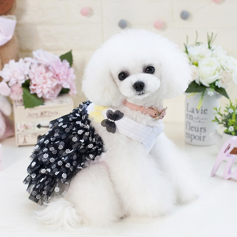 zwierzę domowe Spódnica pies ubranie zwierzę domowe ubranie Miś Niedźwiedź wiosna oraz lato dwa motyl podwiązka Spódnica impreza sukienki dla psy Pomeranian