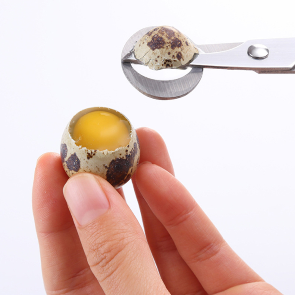 Quail Egg Scissors Eggshell Cutter Stainless Steel Quail Pigeon Bird Quail Eggs Cutter Opener Cracker Kitchen Clipper Tool