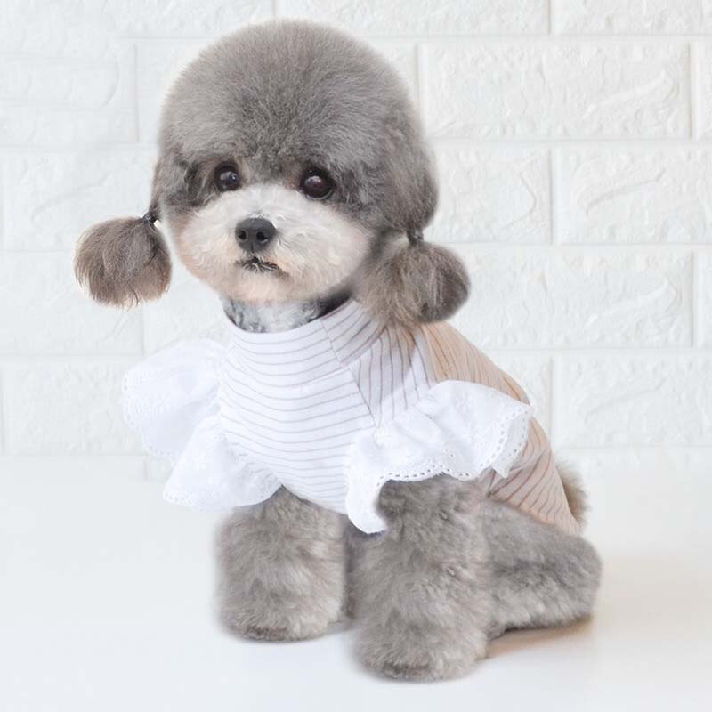 Vêtements pour chiens printemps et été vêtements pour chiens vêtements pour animaux de compagnie petit chien vêtements chien vêtements de fond chiot vêtements quatre saisons