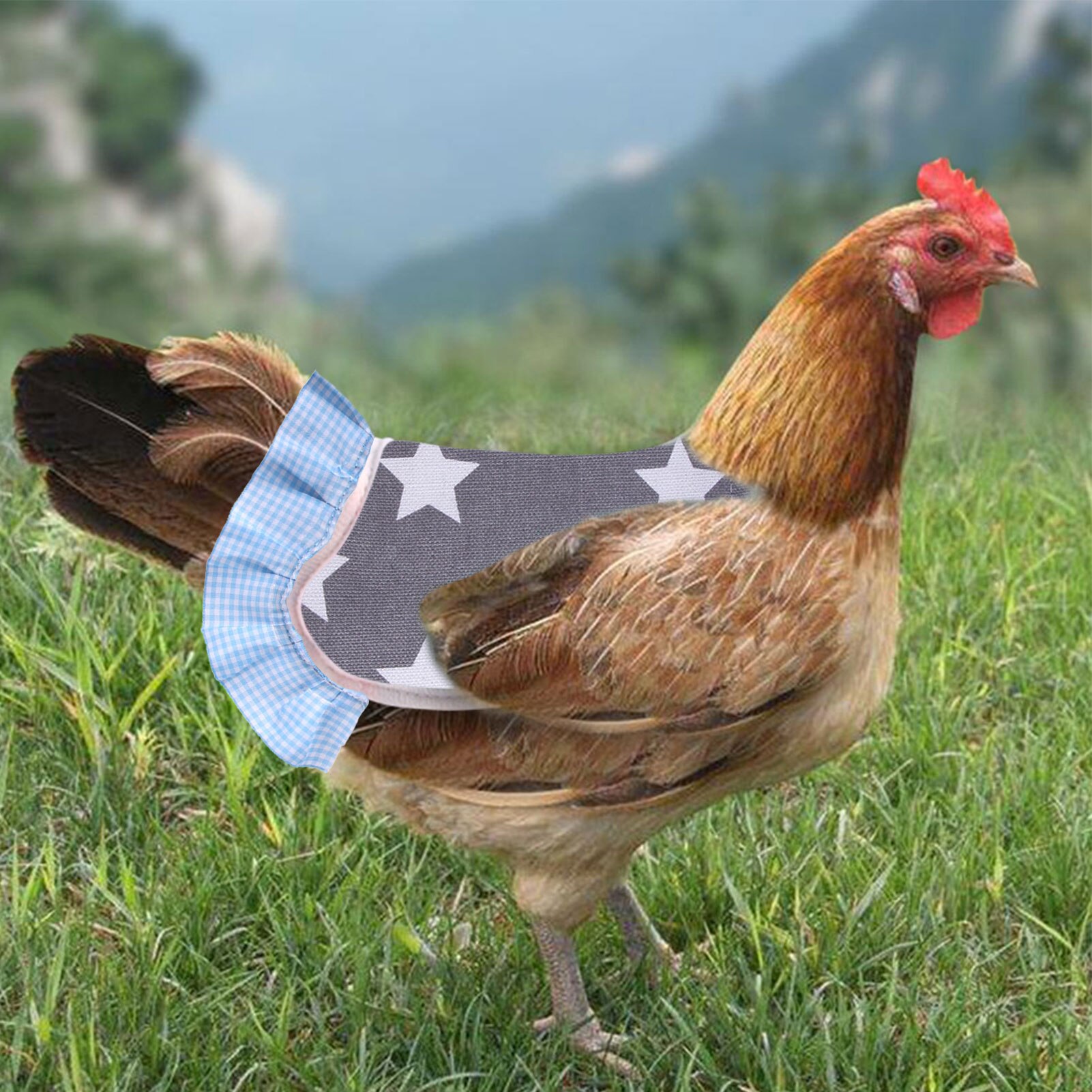 Chicken Protection Apron Chicken Duck Vest Chicken Saddle Clothing Feather Protection Jacket Elastic Lace Clothing Hen Brightly