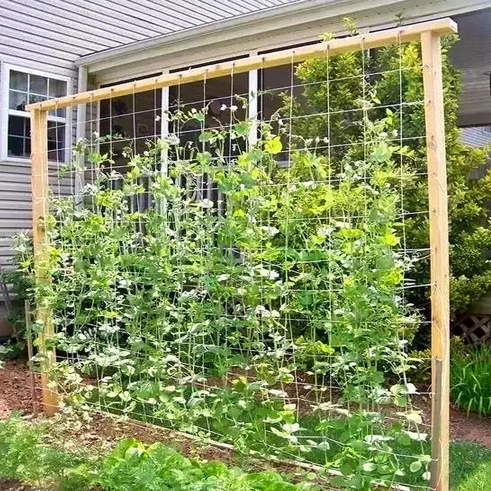 Hydroponics Garden Plant Support Vine Climbing Net Accessories Heavy-Duty Polyester Plant Trellis Netting Multi Use