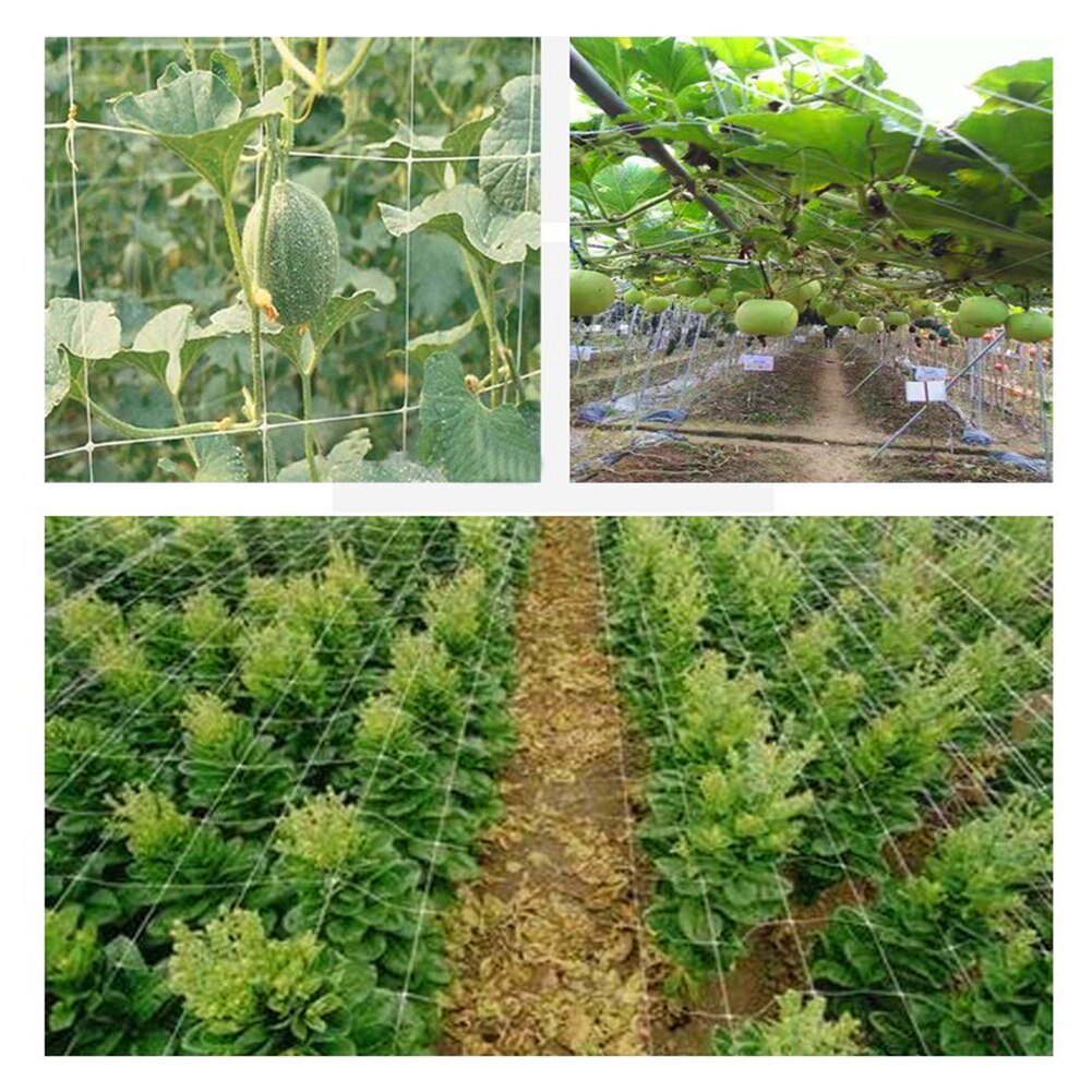 Multi Use Garden Plant Trellis Netting Heavy-Duty Polyester Plant Support Vine Climbing Hydroponics Garden Net Accessories