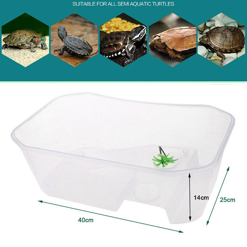 Reptielen Fokdoos Reptielen Terrarium Feeder Slangen Spin Hagedis Voeden Acryl Box Case Insecten Huis voor Hagedis Spider Kikker Cricket Schildpad Krab
