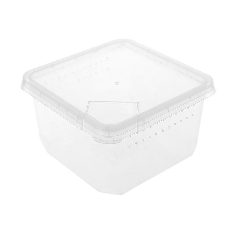 Krybdyr terrarium feeder avlskasse skildpadde edderkop firben bille insekt hus