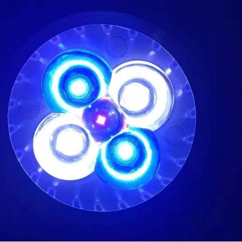 Luz LED para acuario para pecera, bombilla de coral de arrecife, luz de cultivo E27 para peces, plantas acuáticas, 10W: Negro