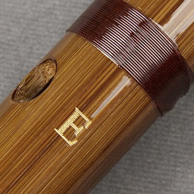 Flauta de bambú hecha a mano para principiantes y amantes de la música, Flauta de Boutique tradicional china, Dizi, de madera: E Key
