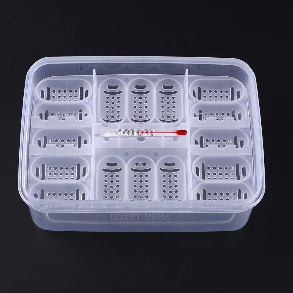 Reptile Egg Tray Snake Lizard Egg Hatching Incubator Box Gecko Dedicated Hatcher Device Tortoise Turtle Incubator Supplies Rept