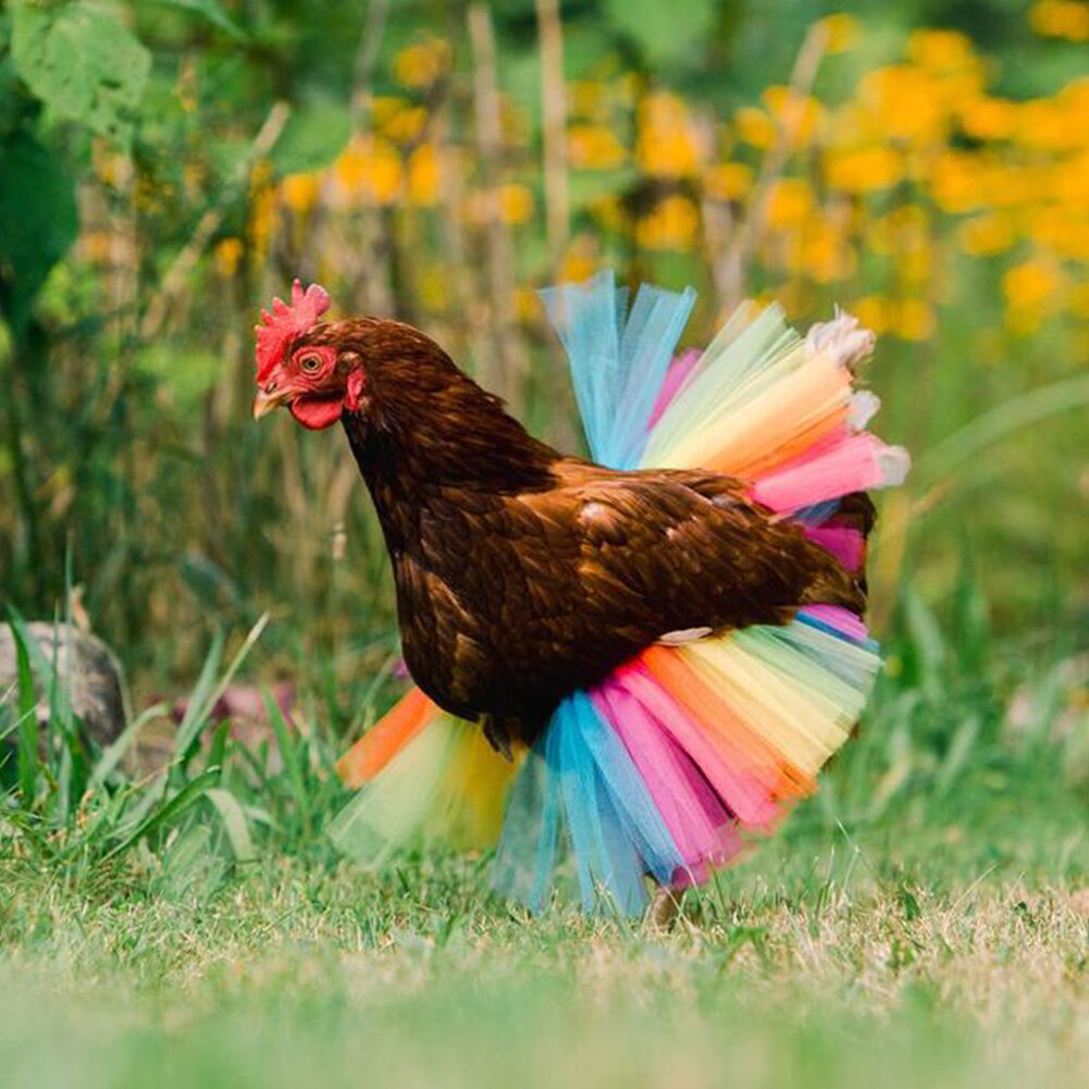 6 Styles Chicken Costume Skirt Tutu Coop Hen Decor Clothes Poultry Feather Protector Halloween Cosplay Dress Party Props