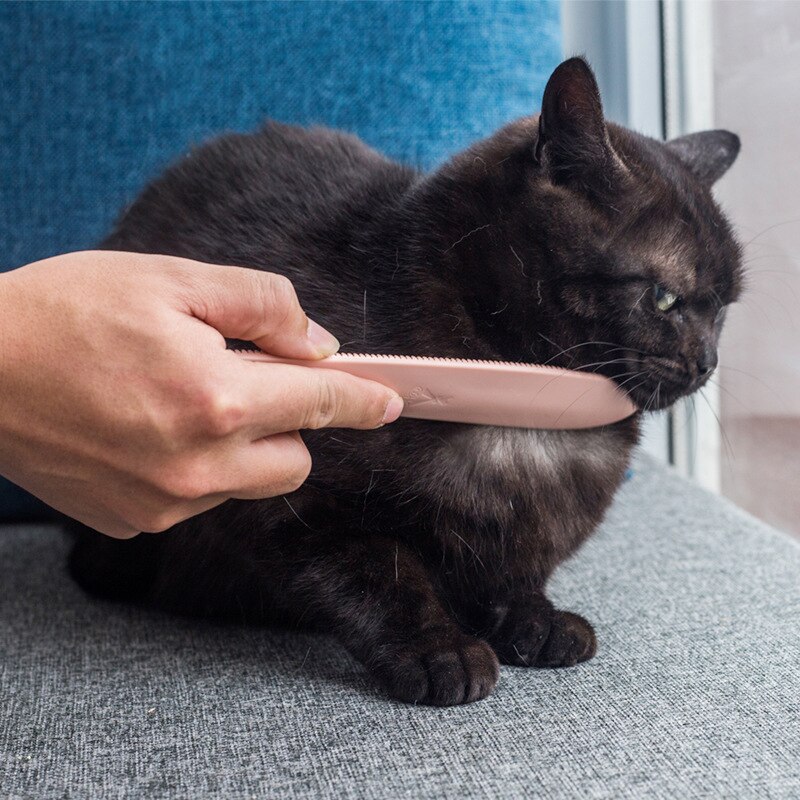 Huisdier Kat Hond Kam Ontharing Borstel Kat Hond Grooming Tool Kat Schoonmaakproducten Zachte Kat Trimmer Massager