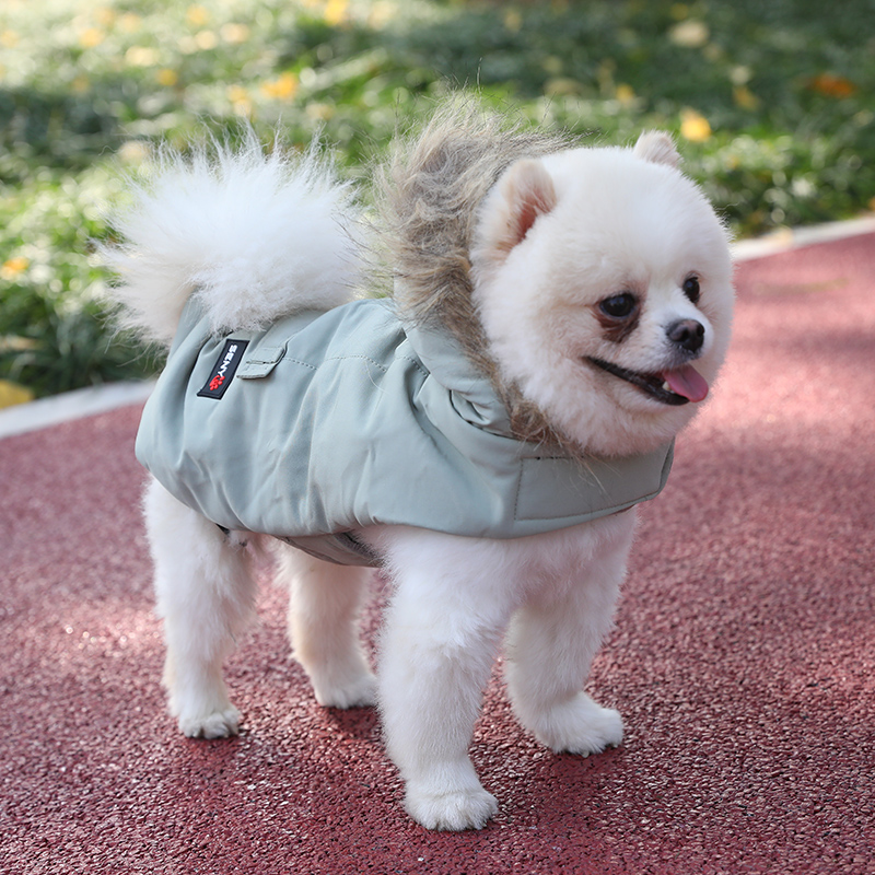 Huisdieren Hond Kleding Katoen Winter Jas Jas Kostuums Hoodies Kleding Voor Kleine Puppy Honden Kat Kleding