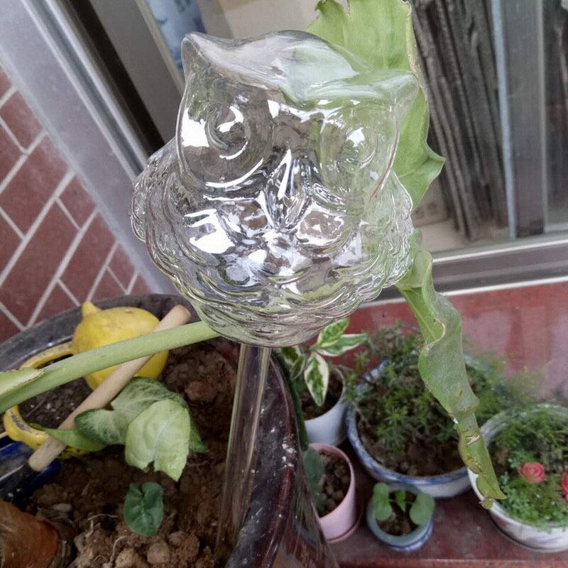 Cristal de agua para plantas autoriego de agua para plantas er, planta de vidrio portátil, flores, alimentador de agua, decoración de autoriego, latas de agua: Owl