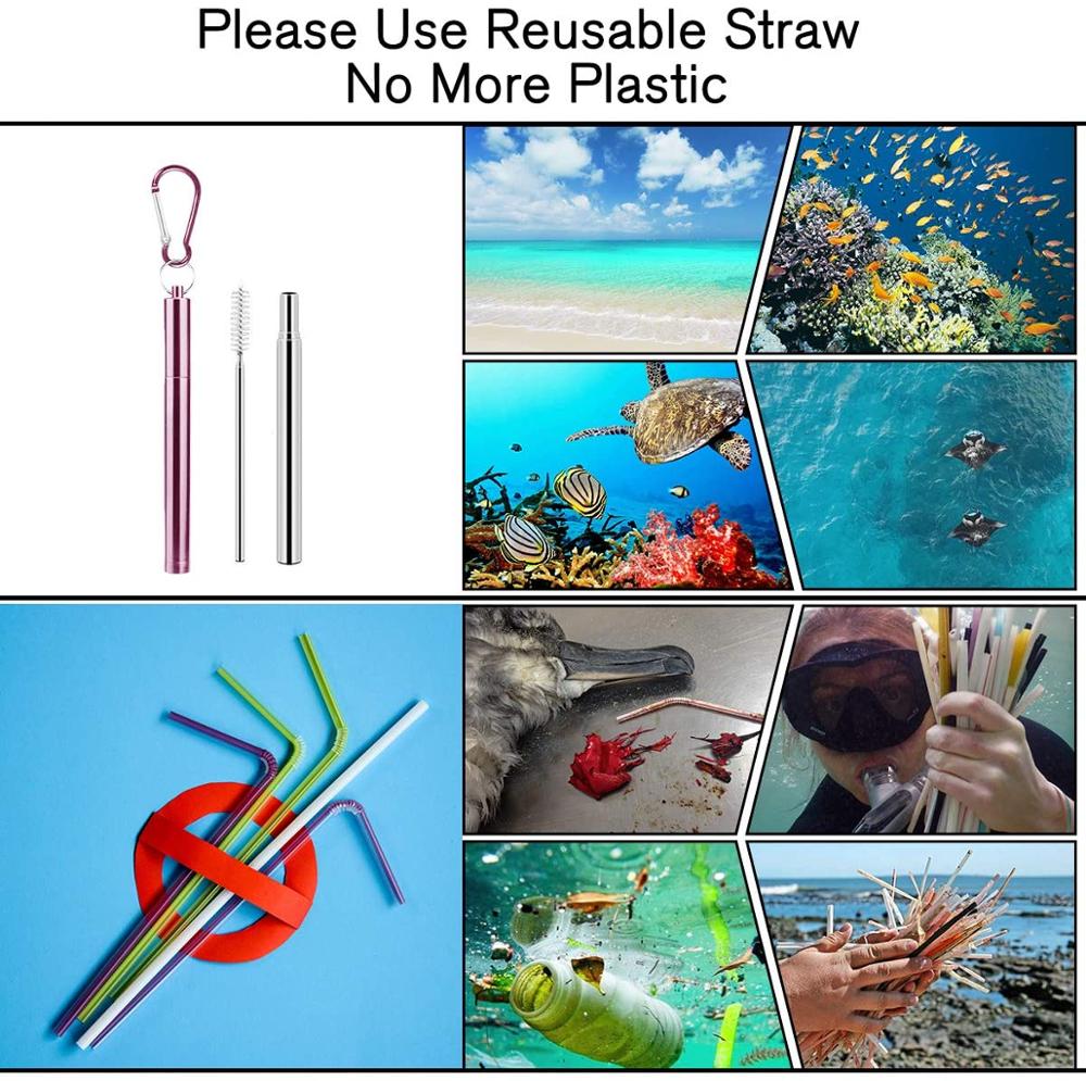 Collapsible Reusable Straw Portable Stainless Steel Telescopic Metal Drinking with Case and Brush for Travel Outdoor