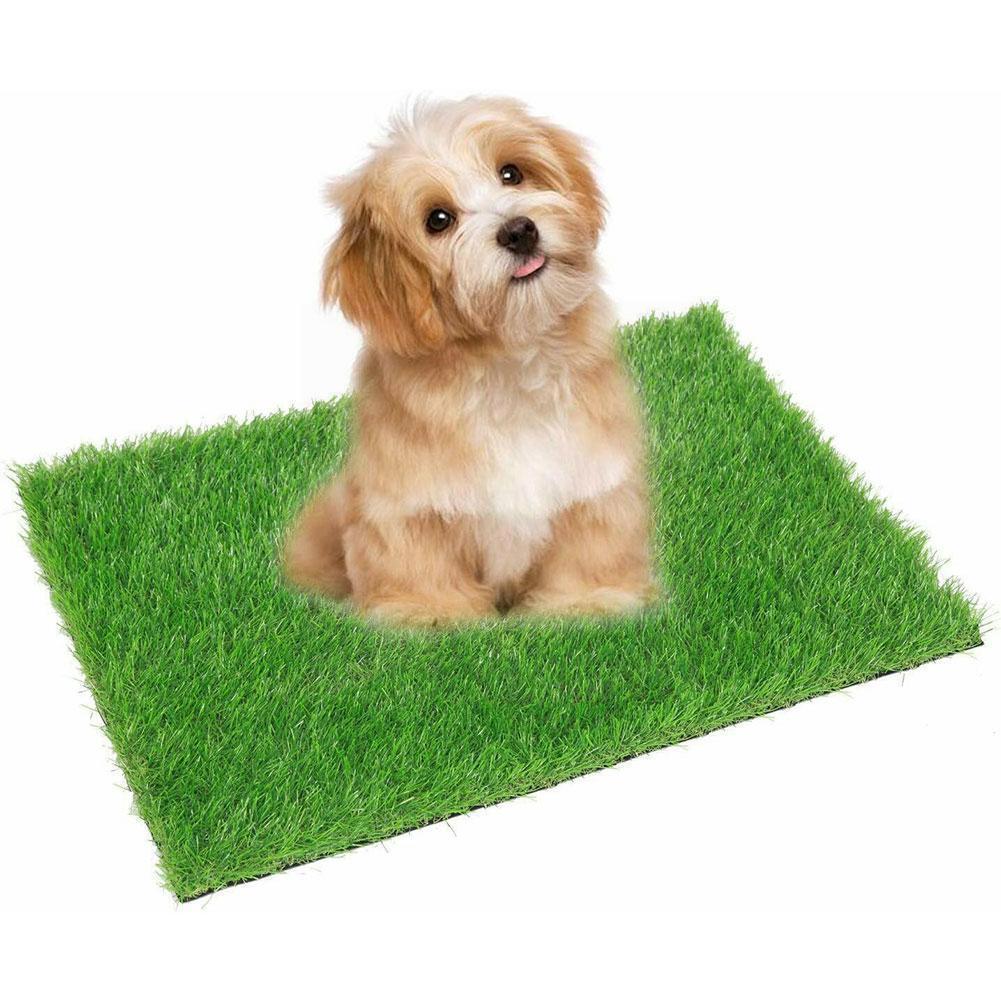 Pet Toilet Lawn Dog Potty Training Synthetic Grass For Dogs Indoor Outdoor Use A8o5