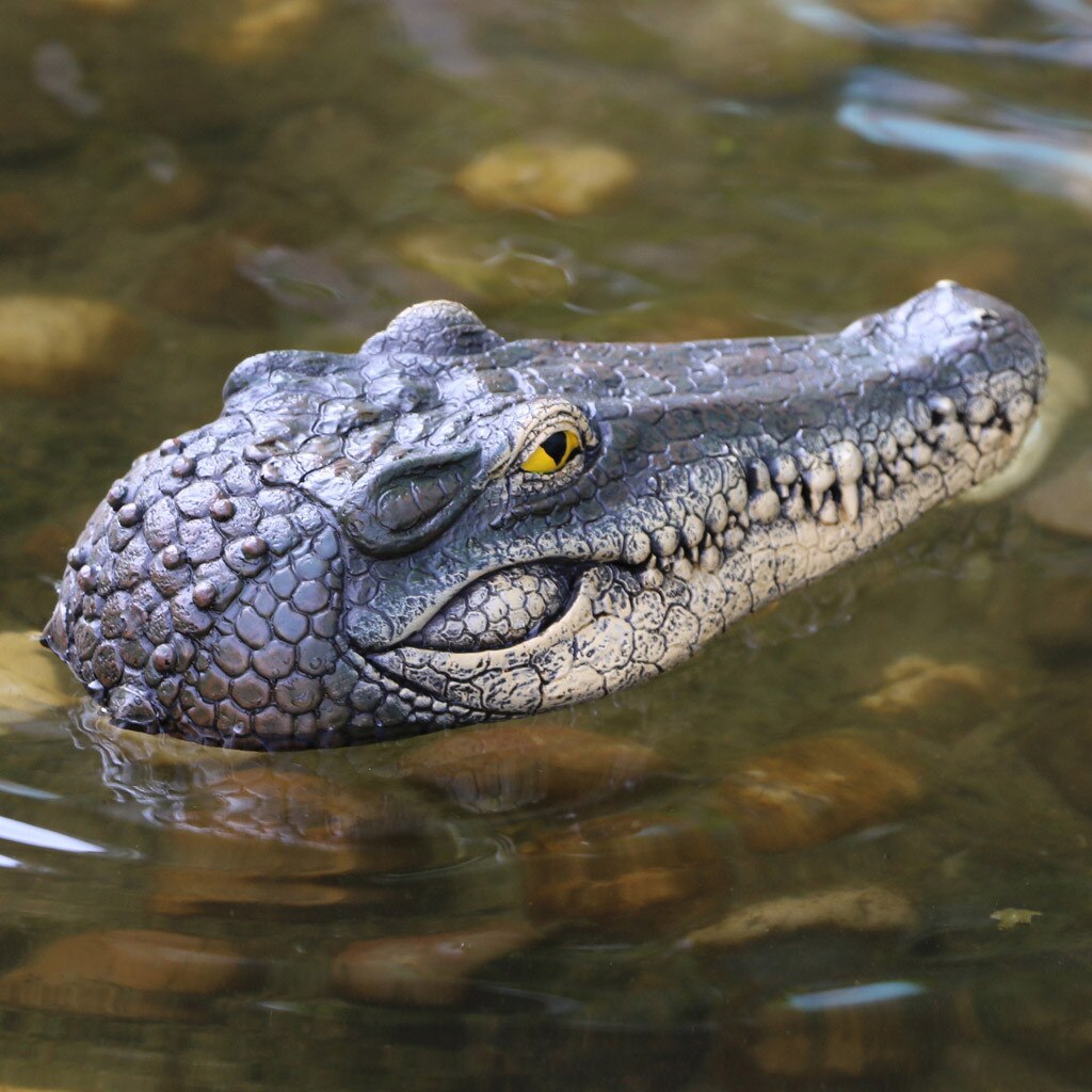 Schwimm Krokodil Kopf Wasser Köder Garten Teich Kunst Dekor für Gans Kontrolle Neue Wasser Simulation Krokodil Kopf M50 #