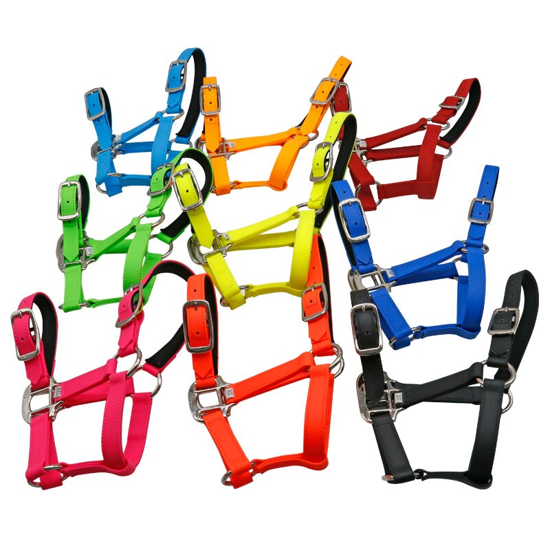 Imbracatura per cavalli: Default Title