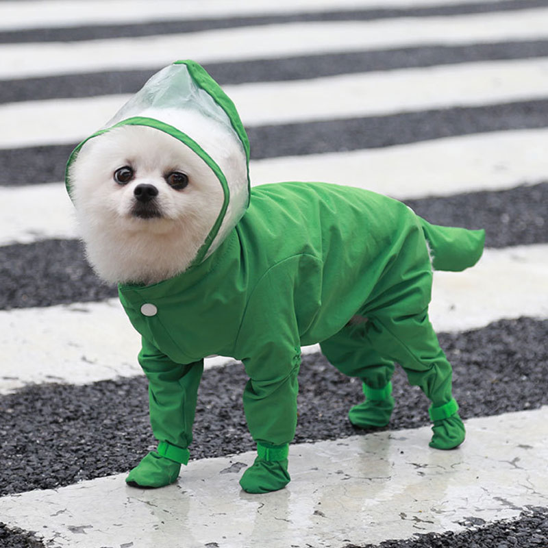 Chubasquero de cobertura completa para perro, ropa impermeable de una pieza para perros pequeños, disfraz de Yorkie, Mono para cachorro, abrigo de lluvia para mascotas: Green / L