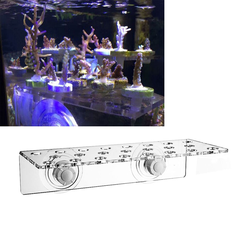 Koralbeslag .sps stik. akryl akvarium saltvand havvand sps koral frag huller beslag akvarium marine tank koral holder