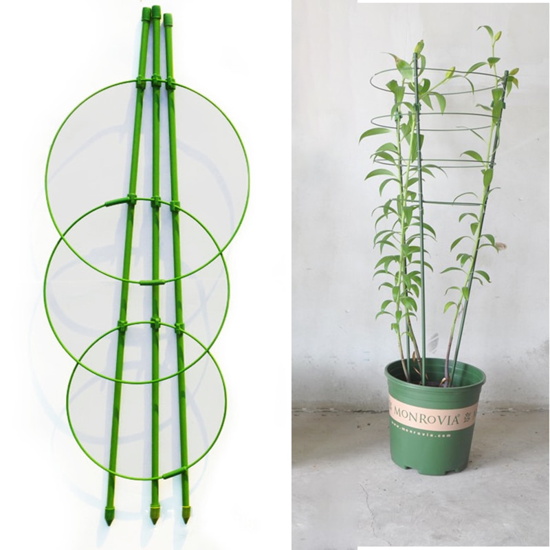 45 Cm Bloem Planten Clematis Klimmen Rack Ondersteuning Plank Huis Tuin Groene Landbouw Plant Grow