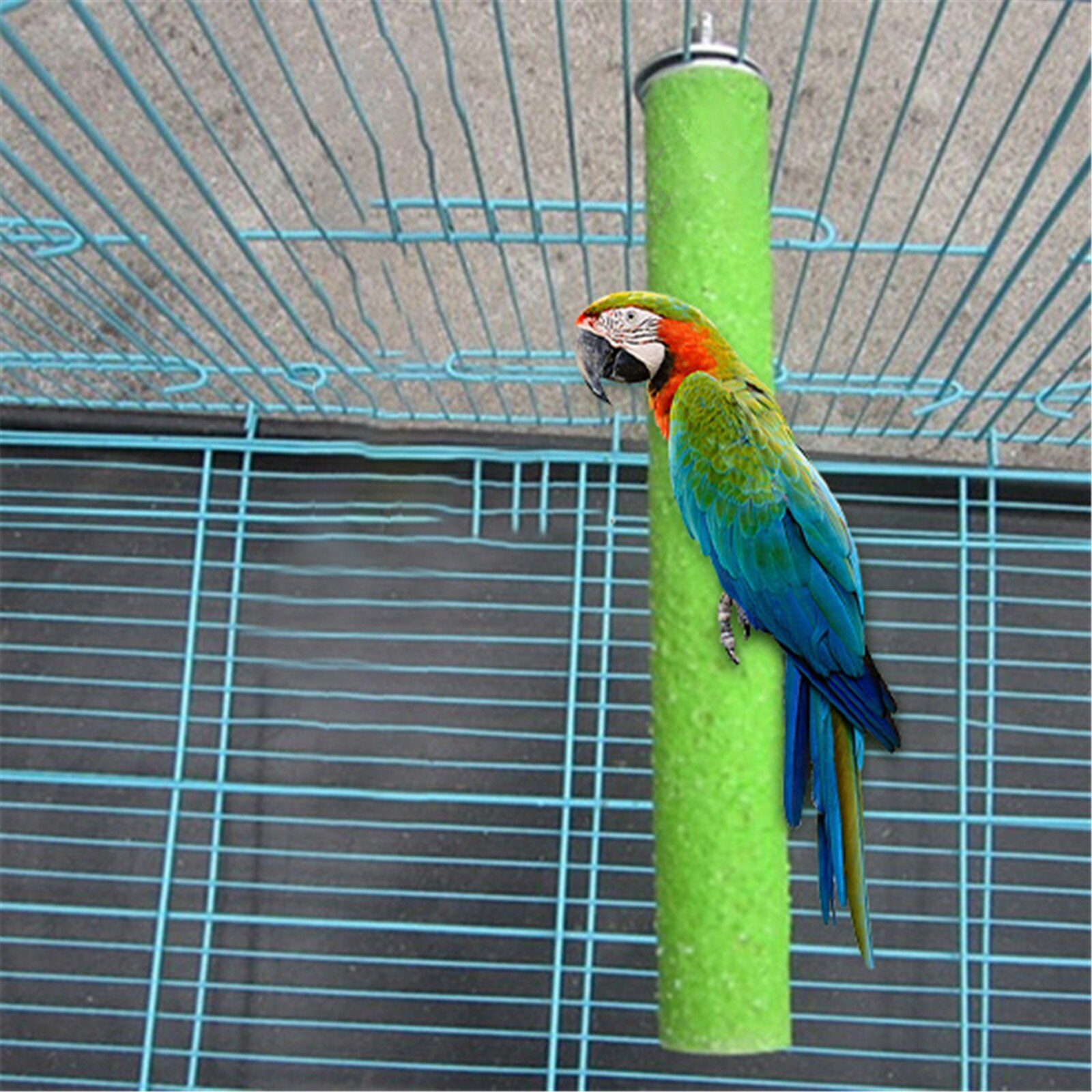 Columpio para aves, palo de madera para afilar el pico, suministros de aves, soporte de molienda, jaula, accesorios P5