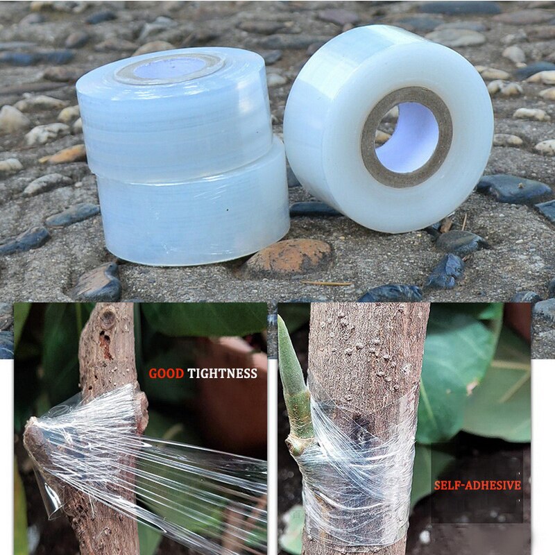 Rollo de cinta elástica para Injerto de jardín, cinta para injertos de vivero, herramientas de jardín degradables, cintas de injerto para árboles frutales, accesorios