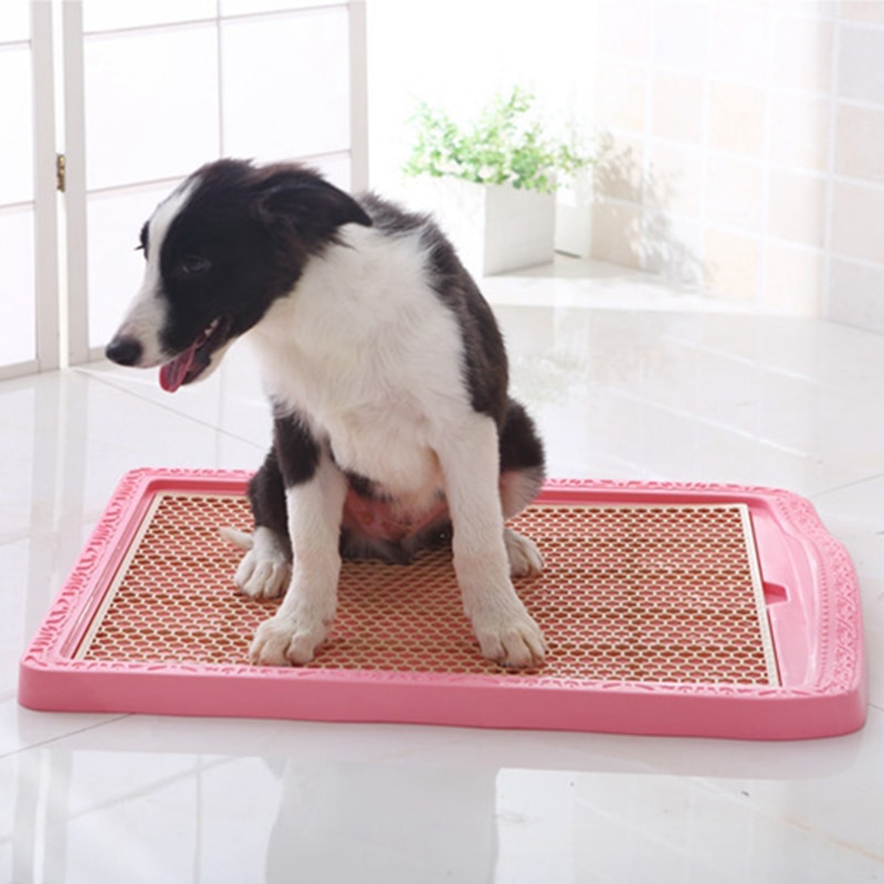 Hunde Toilette Große Fach Kätzchen Sandkasten Wurf Geschlossen Füllstoff Katze Budi Sand Für Selbst-Reinigung Sandboxes Kunststoff Tiere liefert