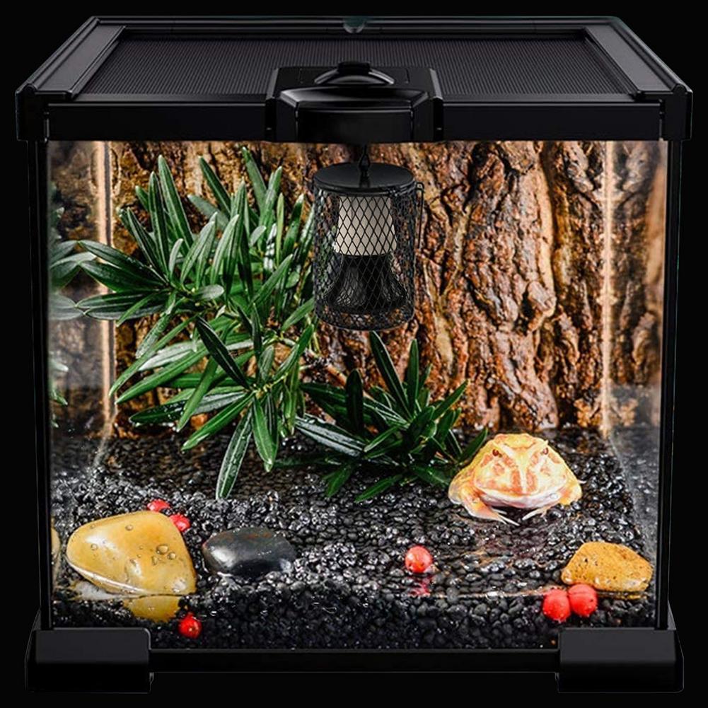 Warmte Schijnwerper Keramische Verwarming Reptiel Warmtelamp Reptiel Ver Infrarood Lamp Lampen Amfibieën Hagedissen Temperatuur Controller
