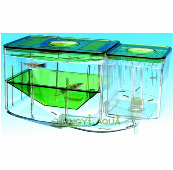 1 stuk Acryl aquarium voor incubatie isolatie hatch box voor kleine vis scheiding doos kleine aquarium