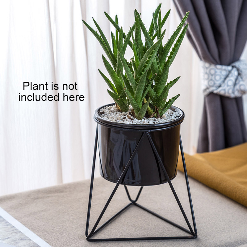 Cactus Tray Planter Pots Ceramic Geometric Flower Bowl Garden Planter Succulent Planter Iron Stand