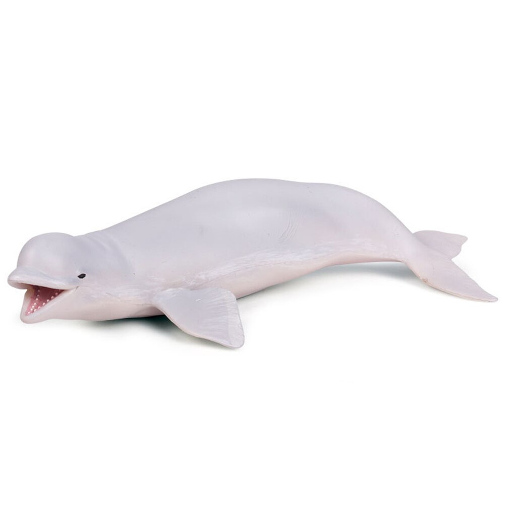 Livagtige hvalhval havdyr pvc model figur pædagogisk legetøj børn: Hvid