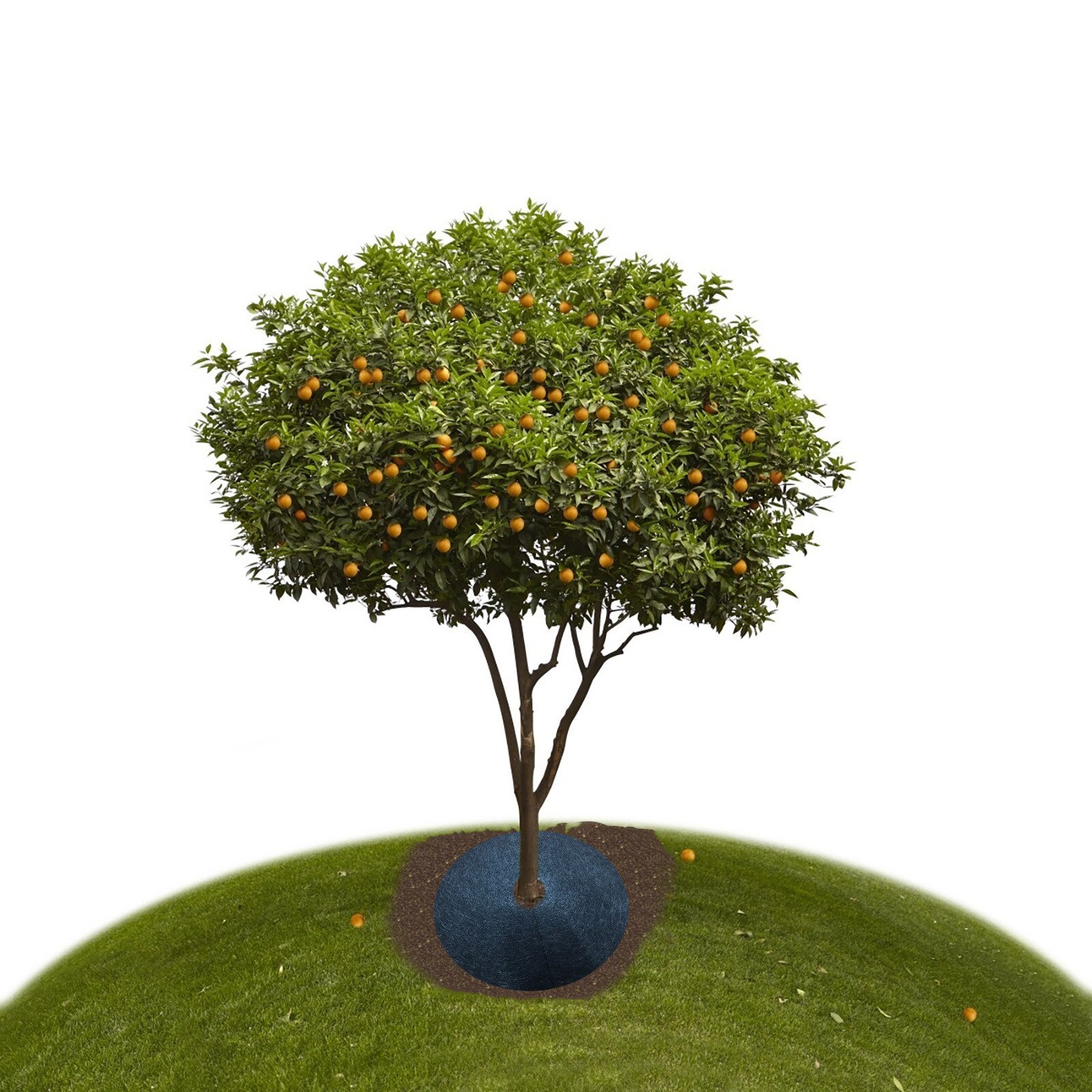 Plant Covers Non-woven Degradable Gardening Weeding Cloth Cover For Agriculture Gards Breathable Moisturizing Cloth For Plant