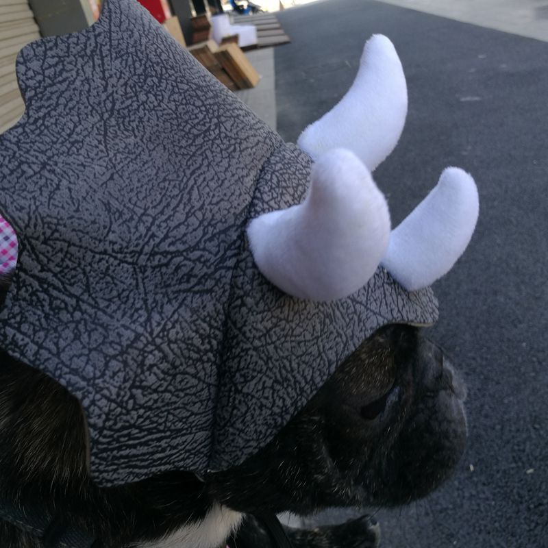 Huisdier Triceratops Hoofddeksels Halloween Dinosaurus Cosplay Kostuum Hoed Huisdier Jurk Up Accessoires Puppy Cap