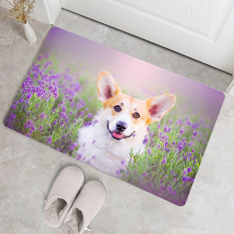 Tapis de bain à motif Corgi, accessoire de salle de bains, cuisine, salle de bains, antidérapant, moderne, lavable, paillasson d&#39;entrée de maison, moins cher