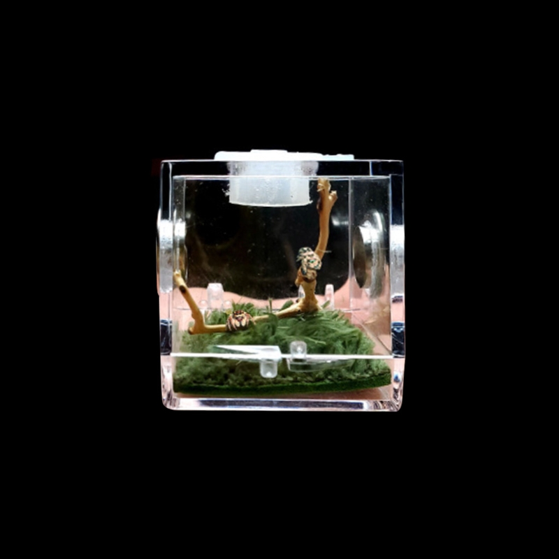 K5DC Transparent Spiders Breeding Box Full View Top Feeding Ventilation Small Reptiles Acrylic Habitat Cage Anti-Escape
