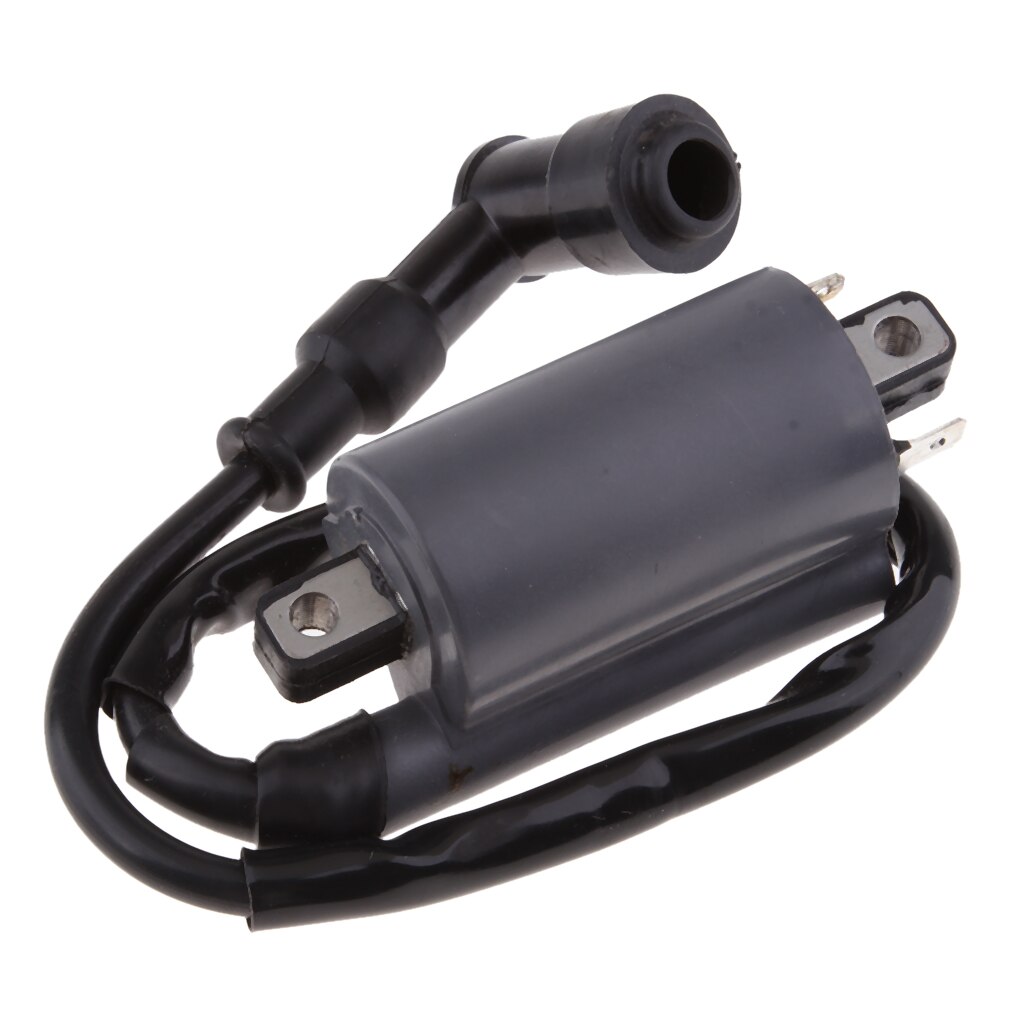 Motorfiets Bobine Voor Buyang 300CC D300 G300 H300 Atv Quad