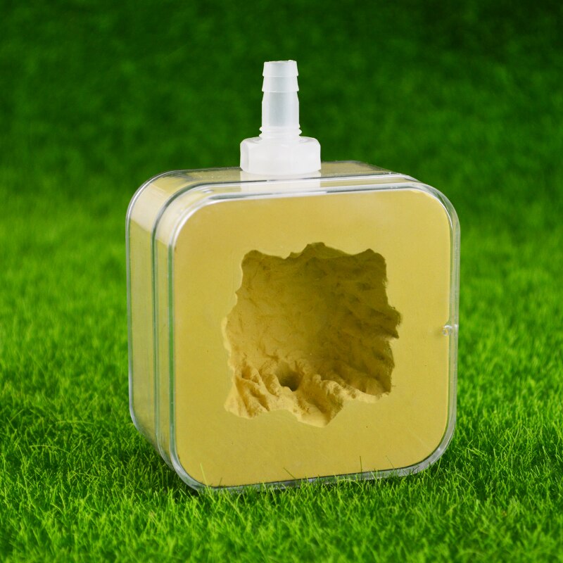 Tynków betonowych Mrówka gospodarstwo rolne naturalne ekologiczne Mrówka gniazdo krajobrazu mrówka dom owadów zamek warsztat zwierzęta domowe są mrowisko: B