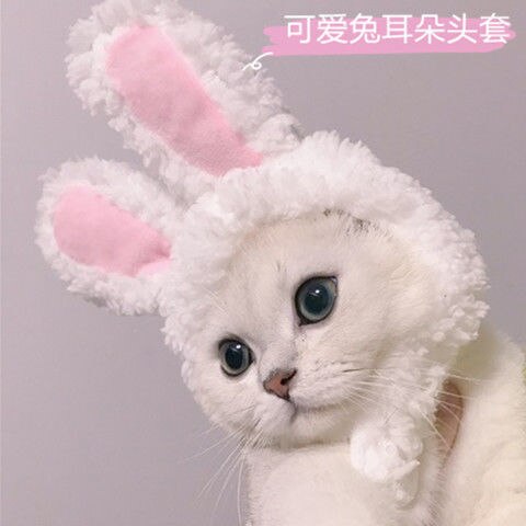 Grappige Kleding Voor Katten Leeuw Manen Kat Kostuum Leeuw Haar Pruik Cap Hond Kostuums Voor Kleine Honden Kerst Pet Halloween kostuums: Bunny ears