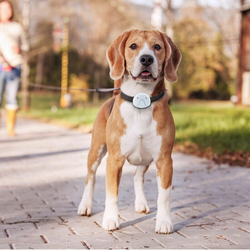 Smart husdjur gps gsm gprs halsband tracker övervakar hund katts husdjur lokaliserare vattentät