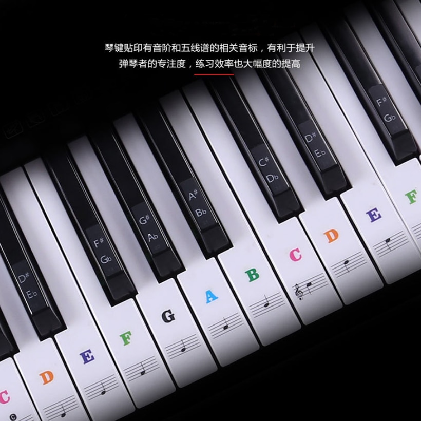 Transparent Detachable Music Decal notes Piano Keyboard Stickers 54/61 or 88-key Electronic Piano Spectrum Sticker Symbol
