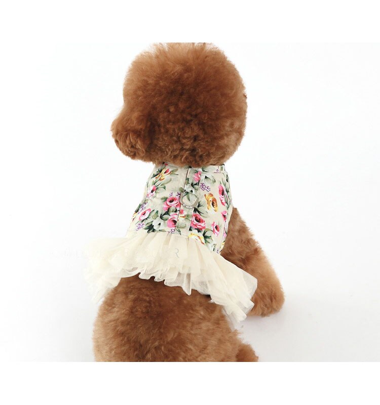 Huisdier Producten Kat En Hond Trekkabel Borstband Kleine Hond Vest Tractie Kledingstuk Rok