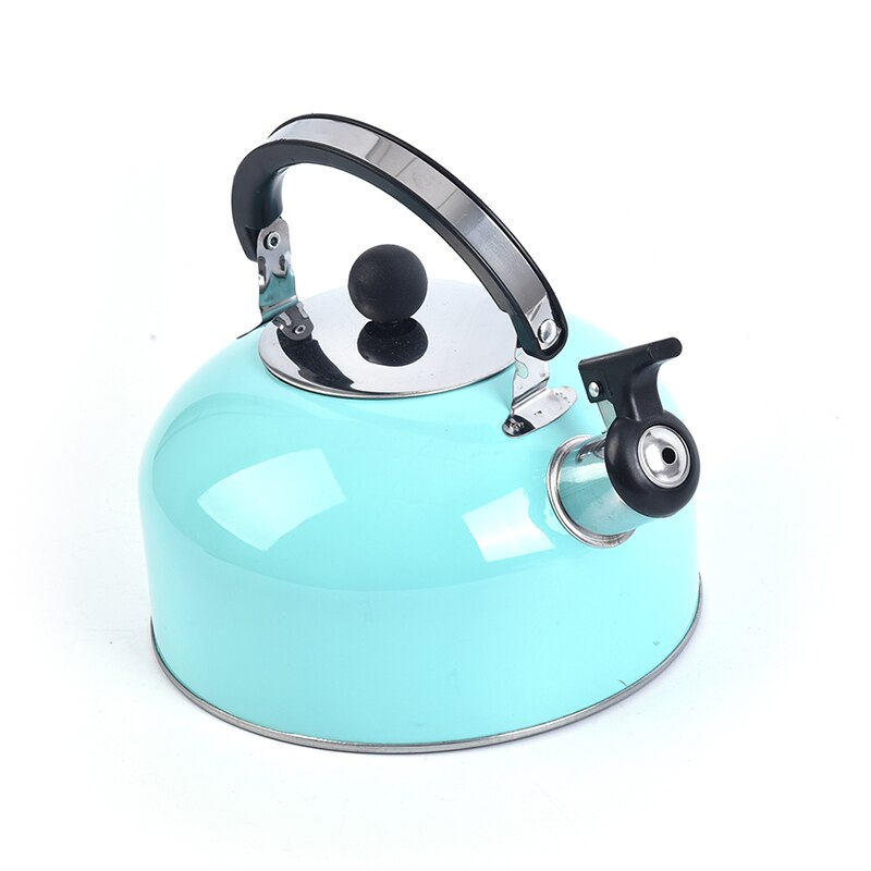 3L Sky Blue Whistling Kettle For Gas Stove Bouilloire 3L Stainless Steel Whistle Tea Kettle Water Bottle