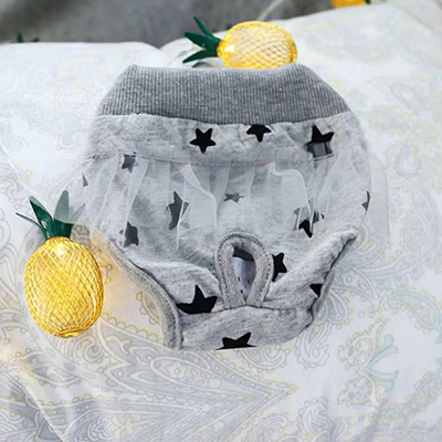 Huisdier Hond Menstruele Tante Broek Fysiologische Broek Hond Kleren Huisdier Hond Kat Kleding Voor Zomer Lente Voor Dierbenodigdheden: Grey / M