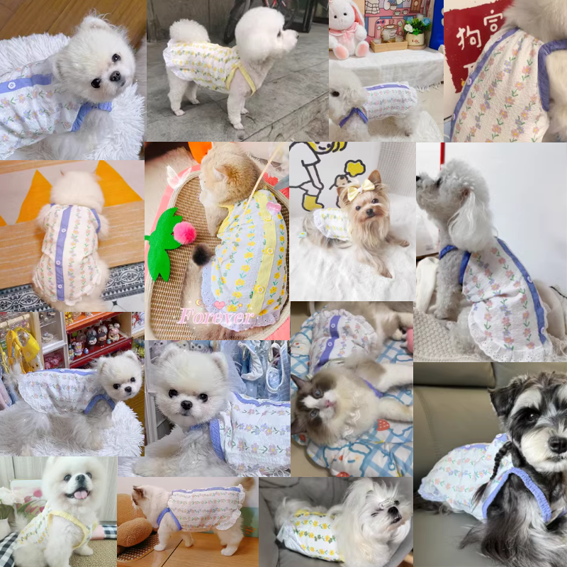Hond Bretels Vest Dunne Zomer Hondenkleding voor Kleine Honden Leuke Print Puppy Shirt Chihuahua Bichon Pug Poedel Kostuum Geen Hoed