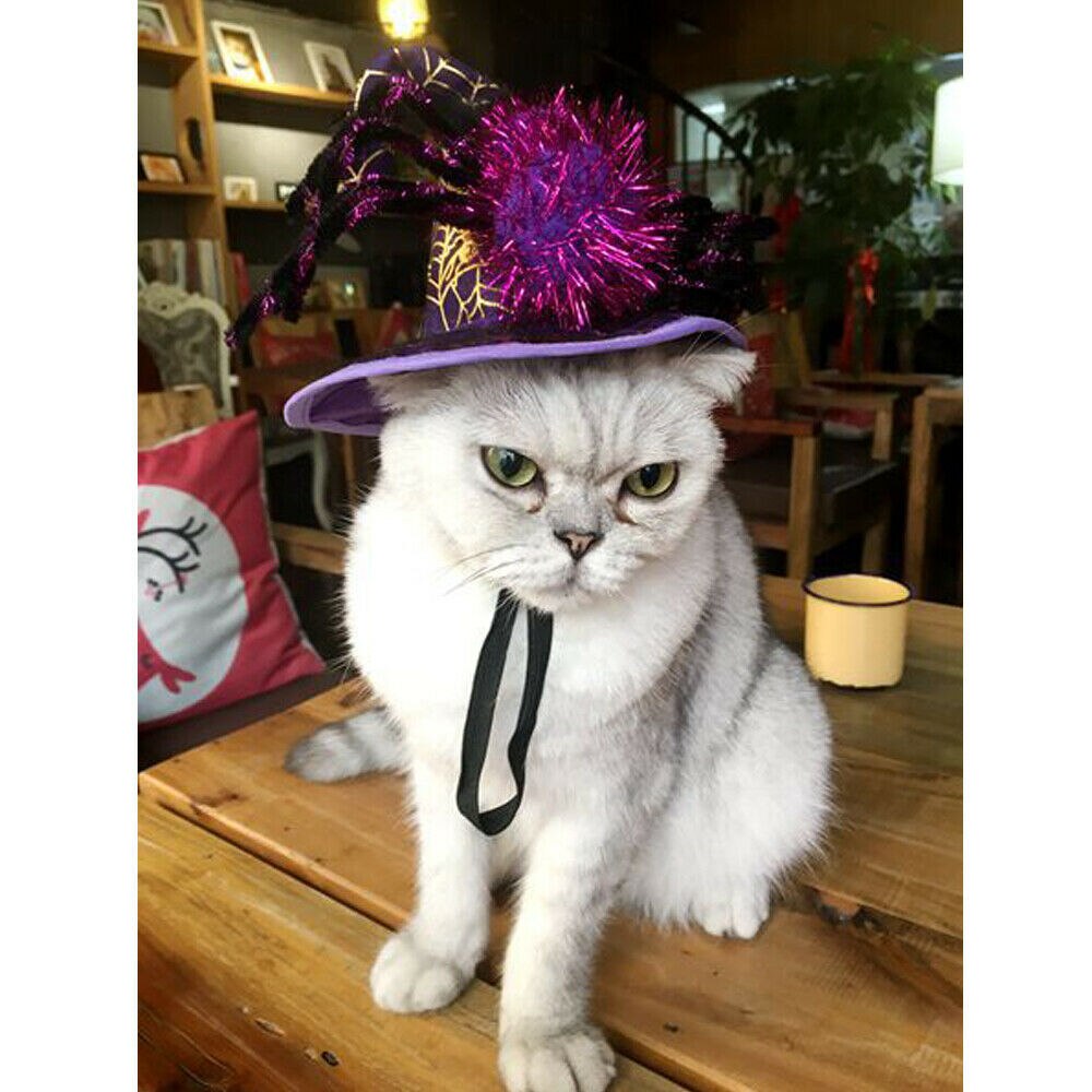 Haustier Halloween Kostümich Spinne Hütte-Hund Katze Hexe Magier Hütte Für Halloween Parteien