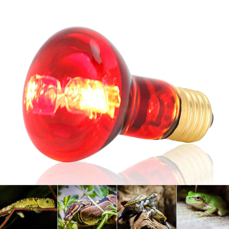 Bombilla de luz infrarroja para reptiles, luz roja E27 R63 de baja potencia para animales y mascotas, lámpara de calefacción para tortugas, pollos, serpientes