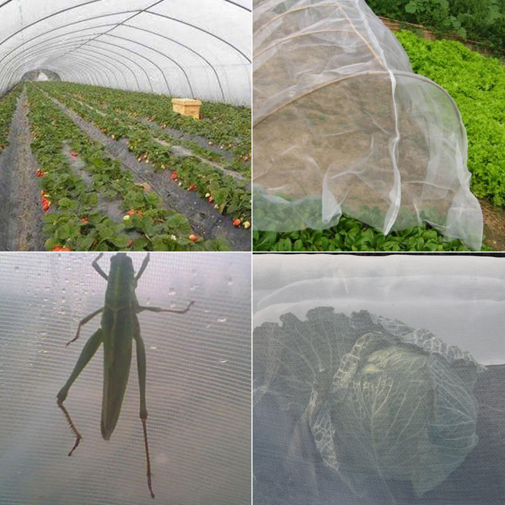 Gran red de protección de plantas de cultivo de jardín red para invernadero red para aves plagas de insectos cuidado de animales vegetales grandes redes de malla 2.5x10m