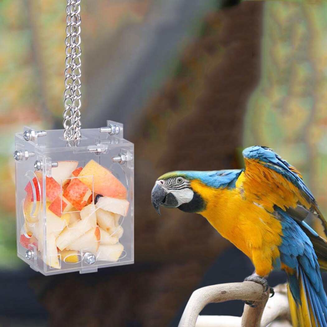 Clear Bird Feeder Acrylic Educational Hanging Forage Toy Parrot Feeder Bird Fruit Vegetable Feeder Pet Feeding Supplies