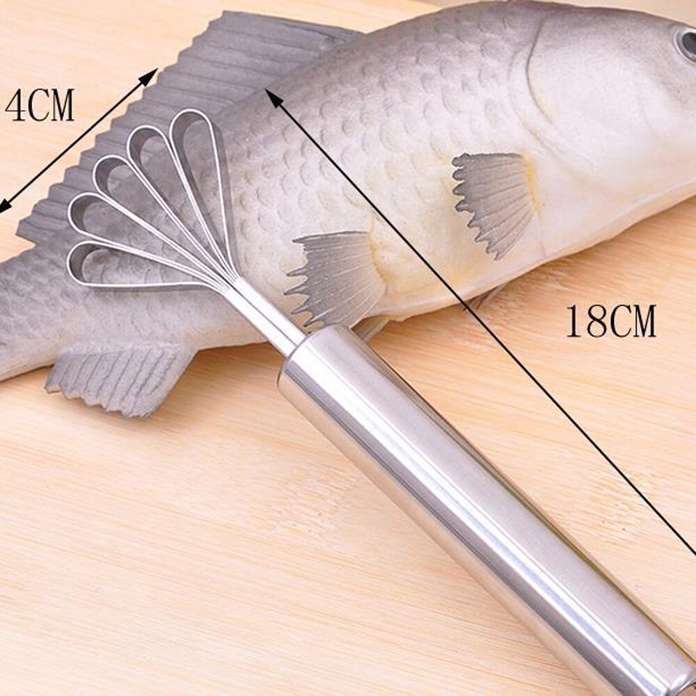 Coconut Shaver Stainless Steel Kitchen Fruit Tools Fish Skin Scale Scraper Peeler Cleaning Tool Kitchen Accessories FD