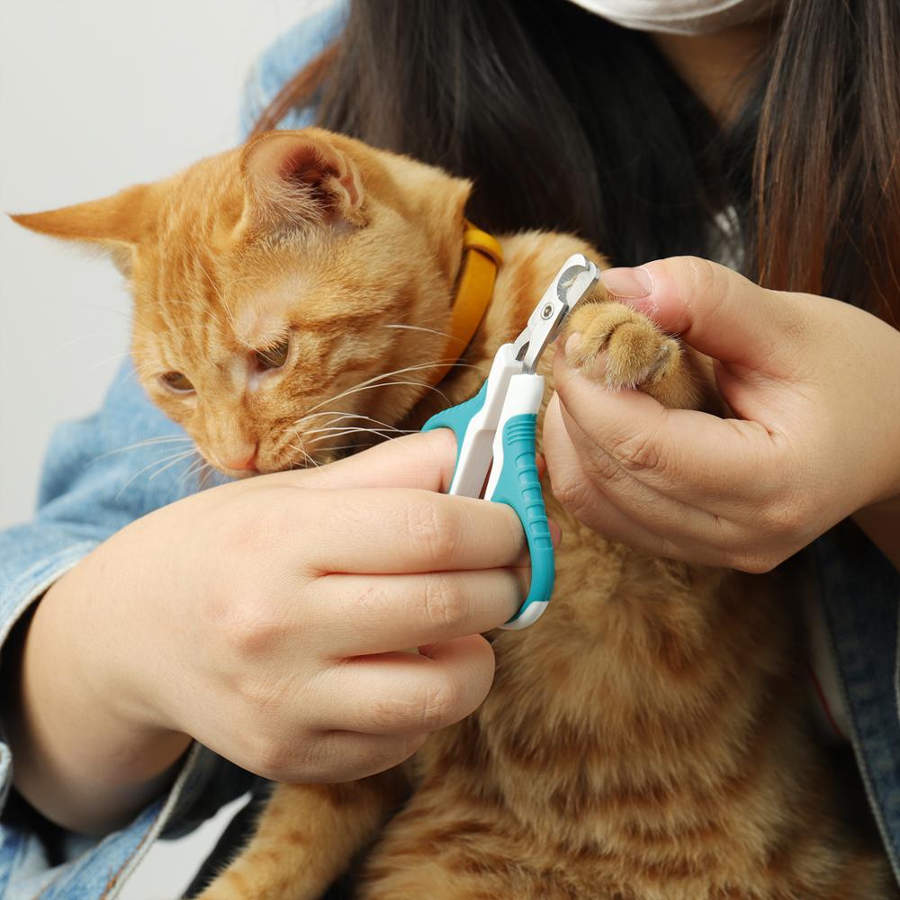 Cortauñas Gato para mascotas, cortador de garras, tijeras para aseo de acero inoxidable, cortador para gatos y perros, cortaúñas para mascotas, suministros para uñas