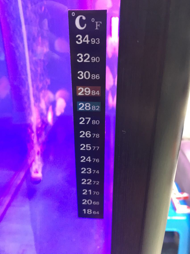 1-5pcs Aquarium Fish Tank Thermometers Strip Stick-on Discolor Thermometer Temperature Sticker Adhesive Sticky Dual Scale 18-34