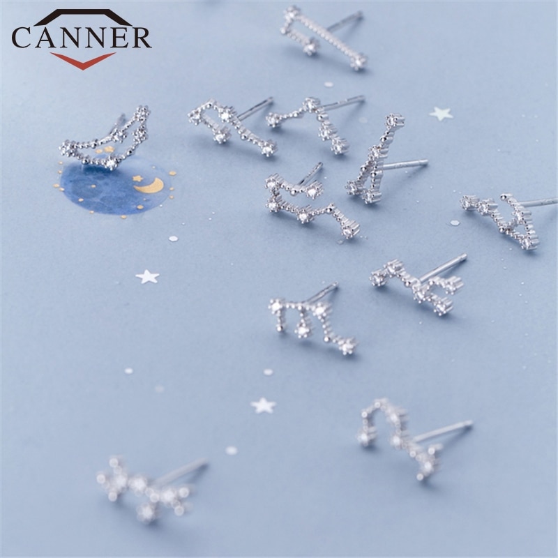 12 konstellation Kleine Frische Minimalistischen CZ Zirkon Ohrringe für Frauen 925 Sterling silber nette Stud Ohrringe Geburtstag